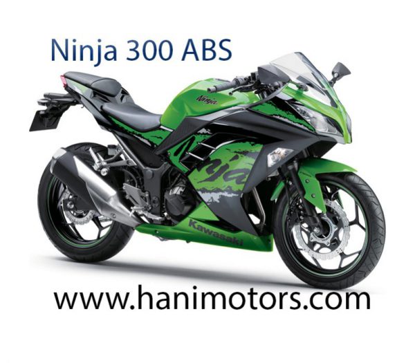 NINJA 300 ABS