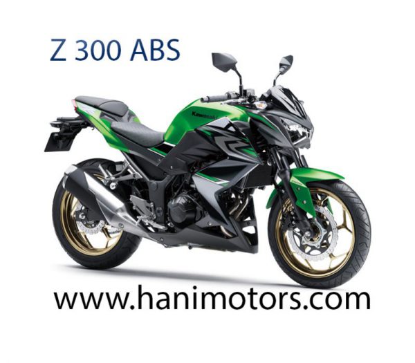 Z300 ABS